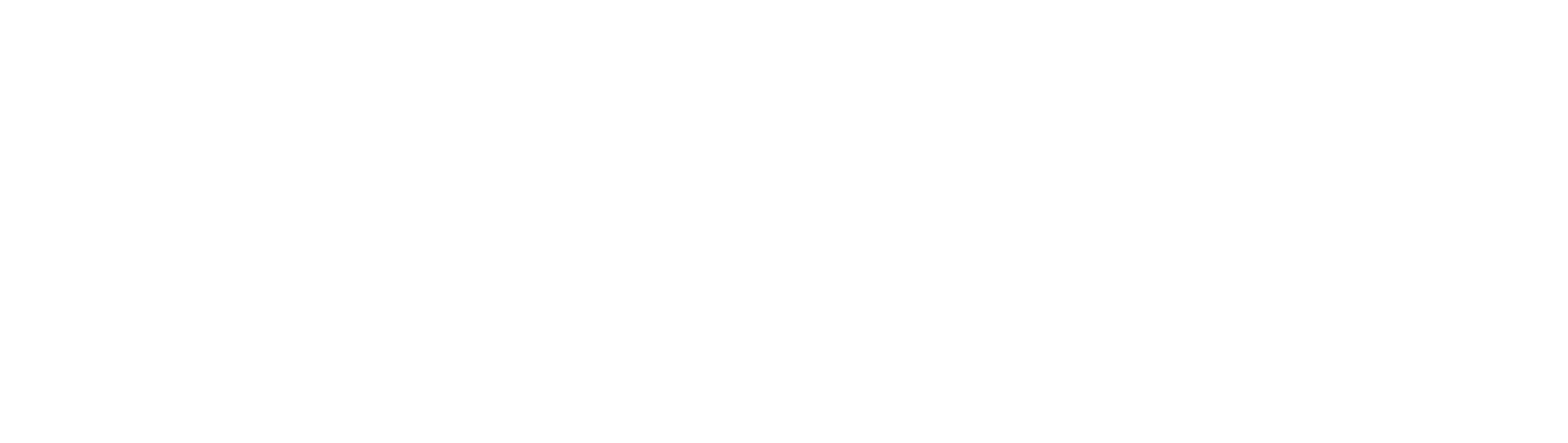logo_citytime_brands6-04